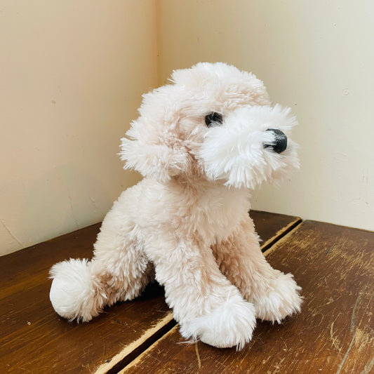 Noodle the Golden Doodle