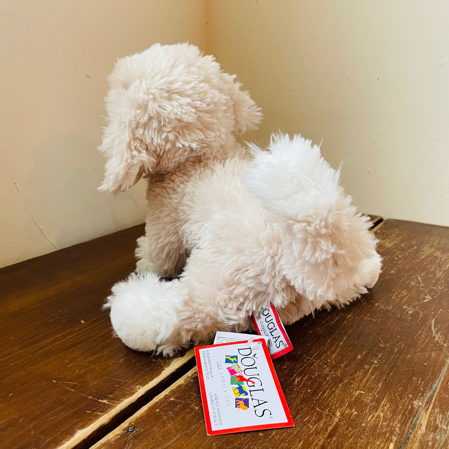 Noodle the Golden Doodle