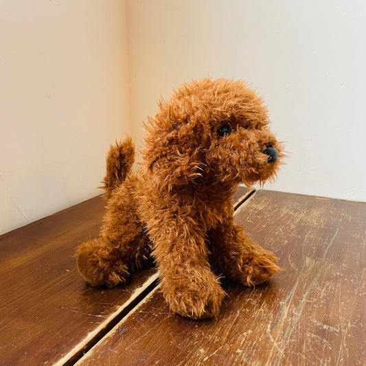 Delta the Brown Poodle