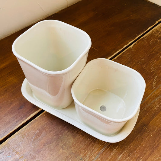 Planters with Saucer- Set of 3