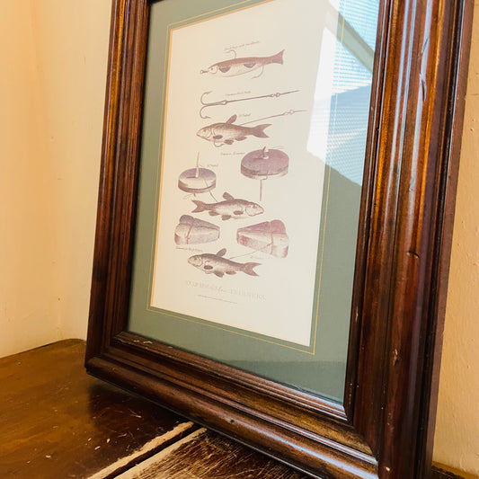 Framed Print of a Fishing Illustration- Vintage
