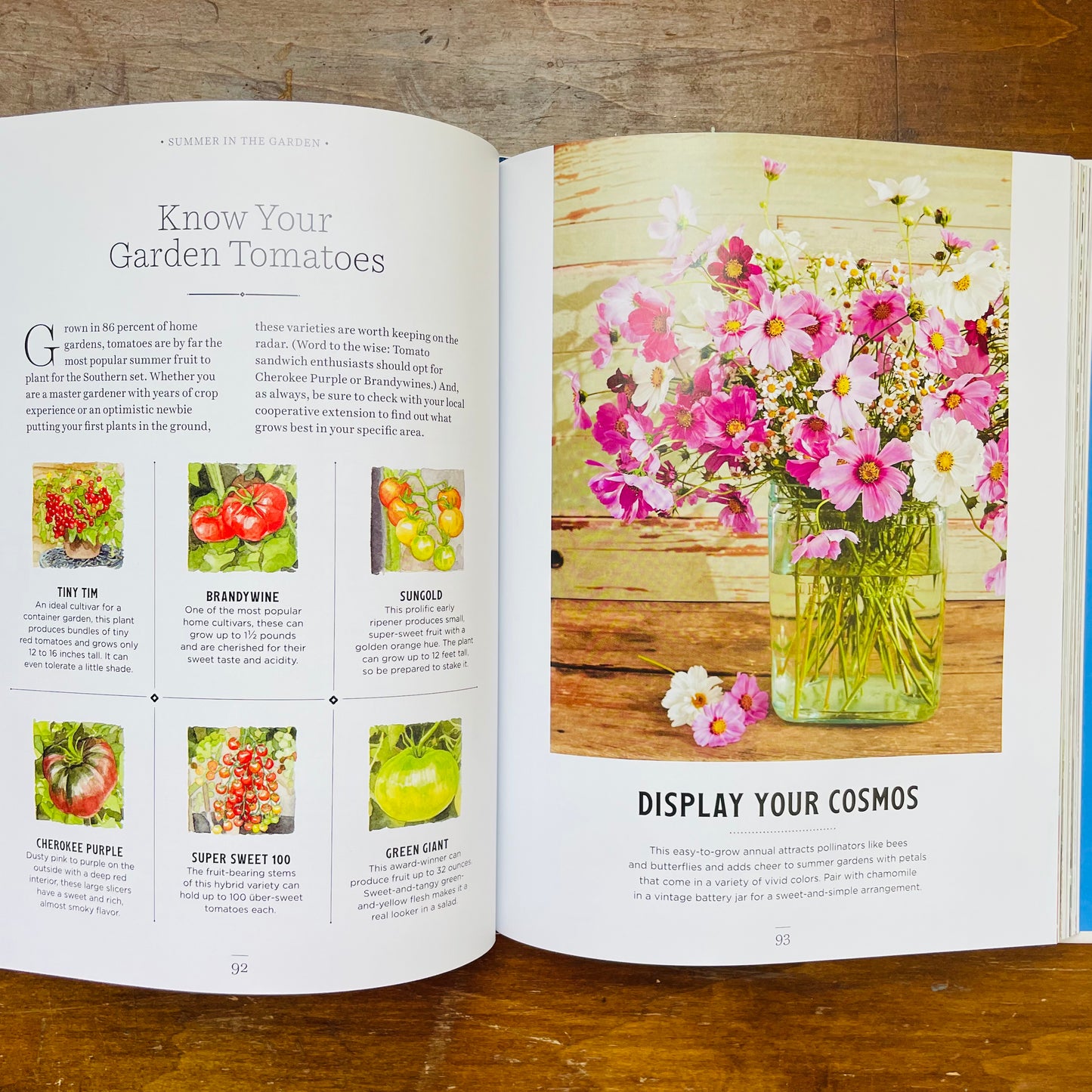 The Southerner's Y'allmanac: A Compendium of Wit & Wisdom for All Seasons