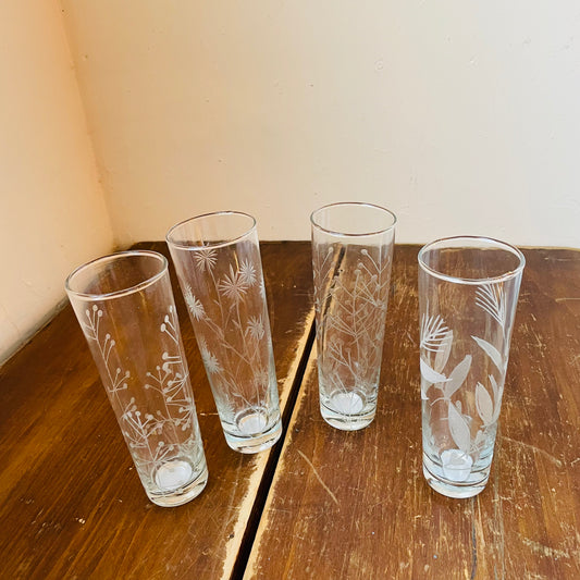 All is Bright Etched Botanical Drinking Glasses
