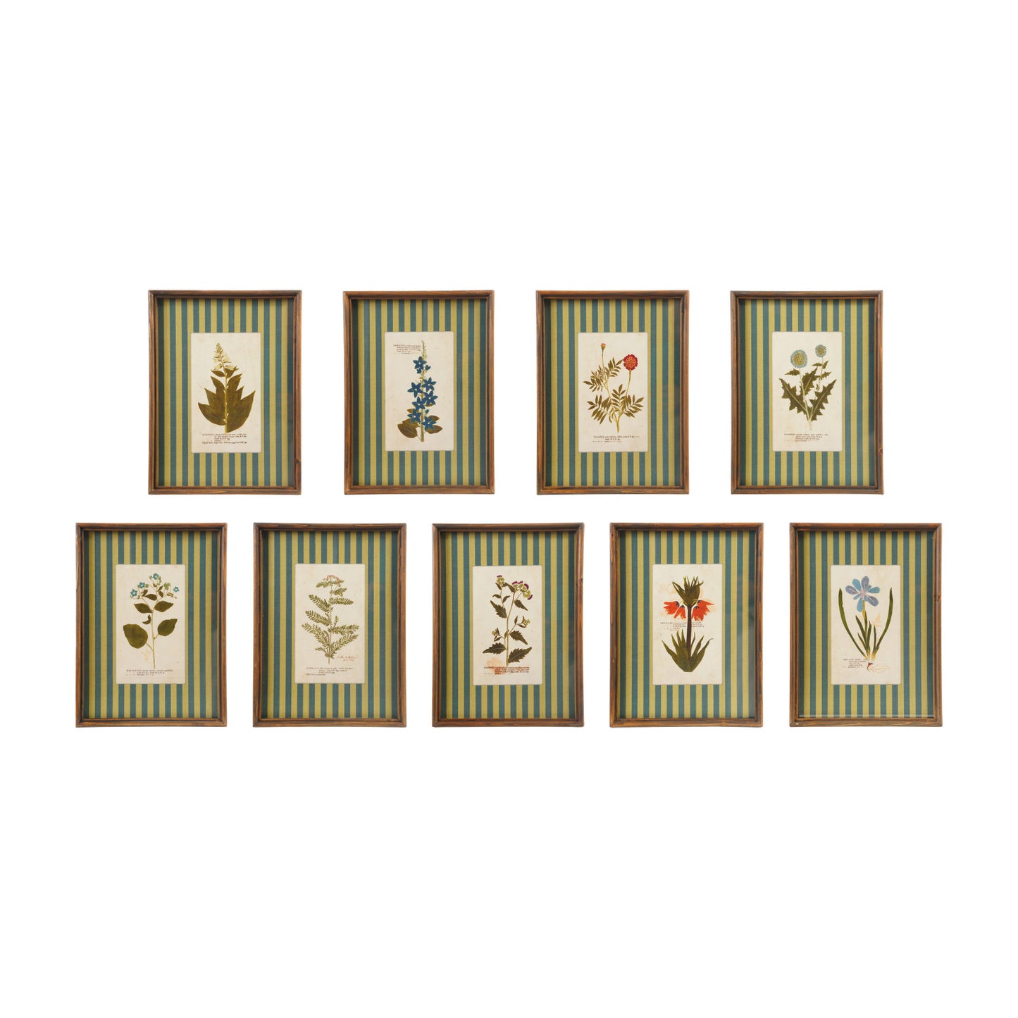Vagabond Botanical & Striped Mat Wall Art