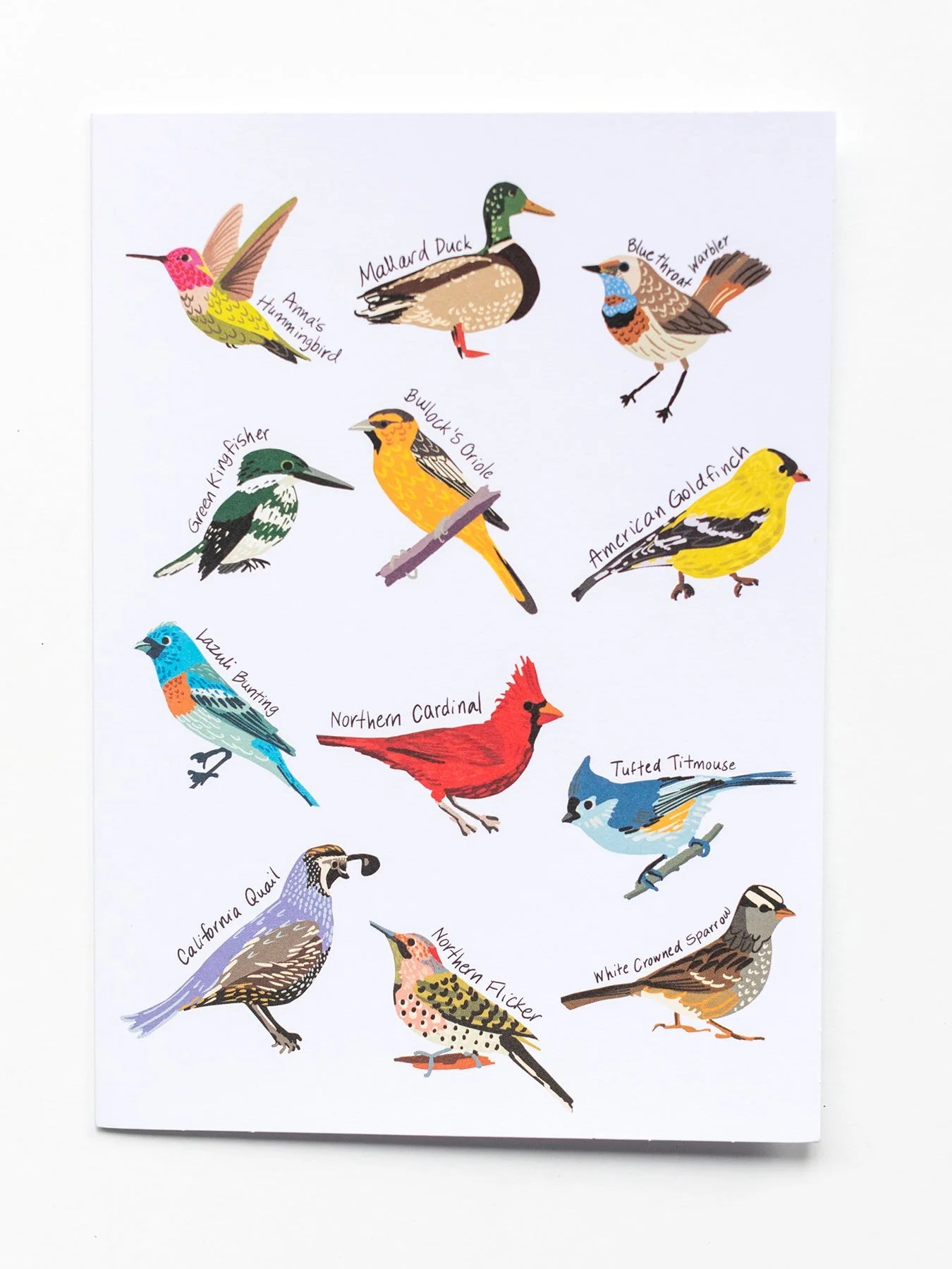 Birds Wrapping Paper