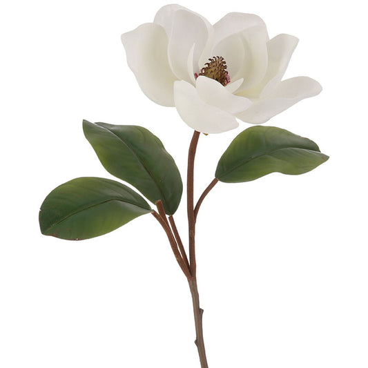 Magnolia Flower Stem