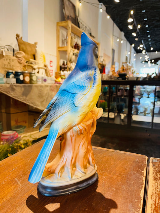 Wales' Blue Jay- Vintage