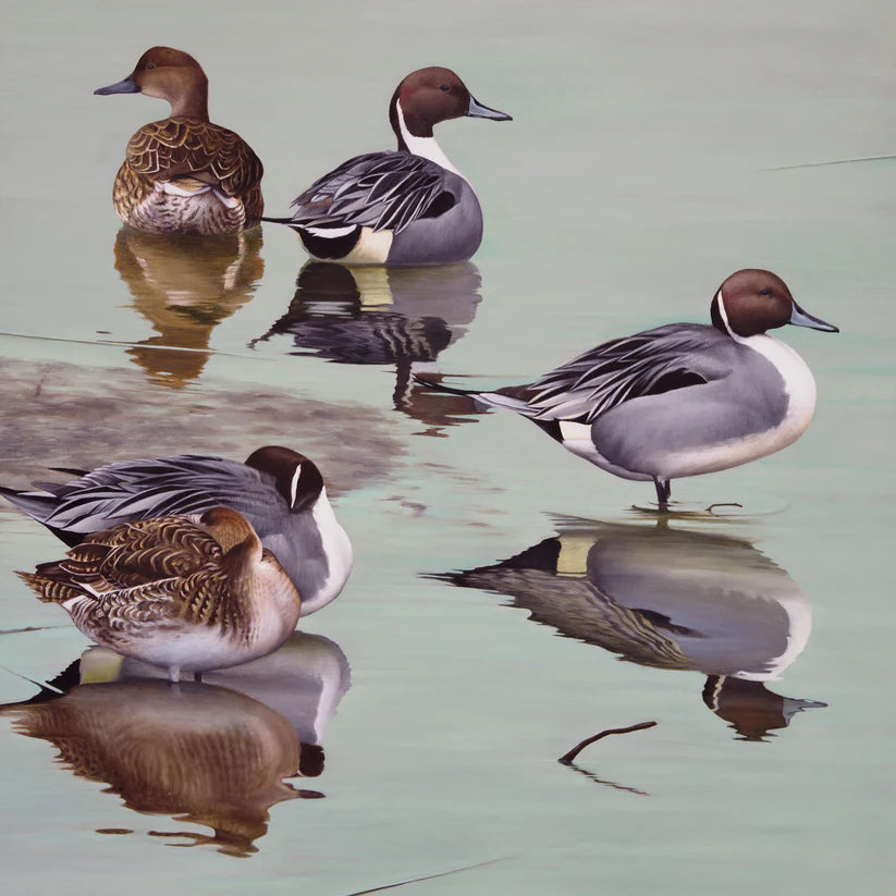 Overcast- Cory James Fine Art