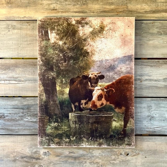 Cool Water In The Pasture Gallery Wrapped Aged Print