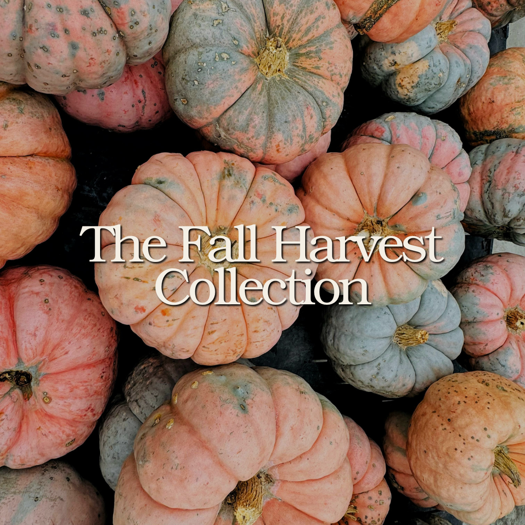 Fall Harvest Collection