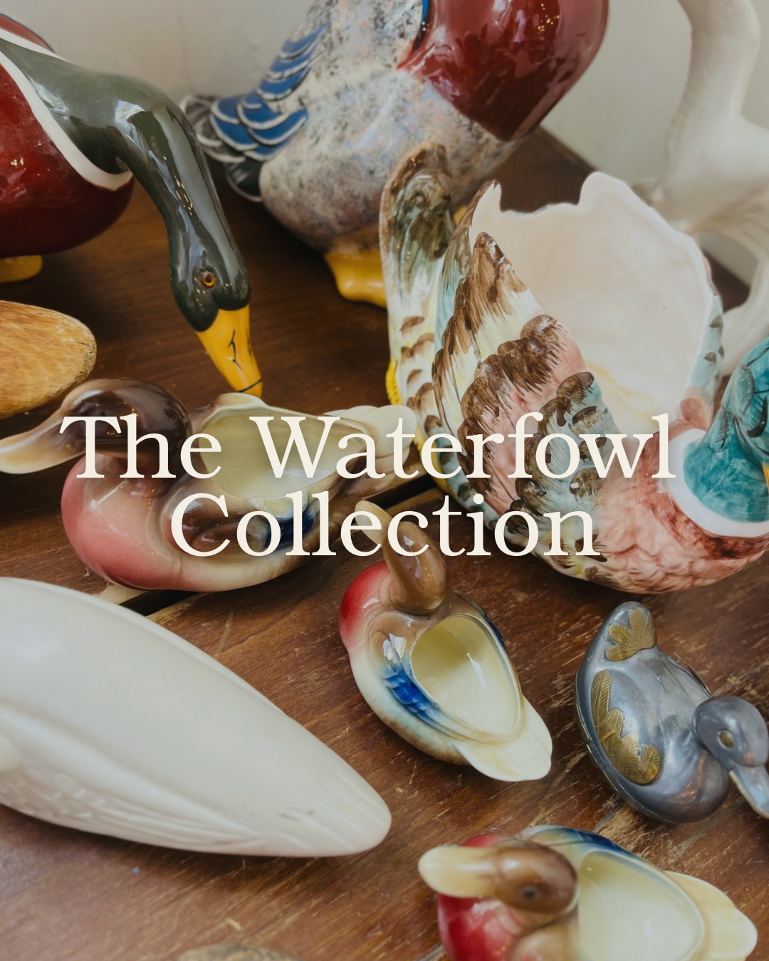 The Waterfowl Collection