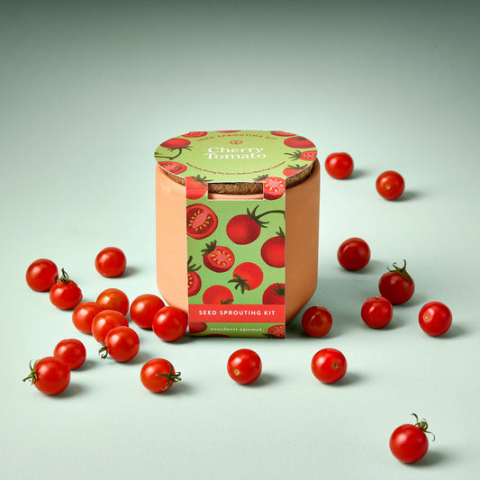 Tiny Terracotta Garden Kit: Cherry Tomato