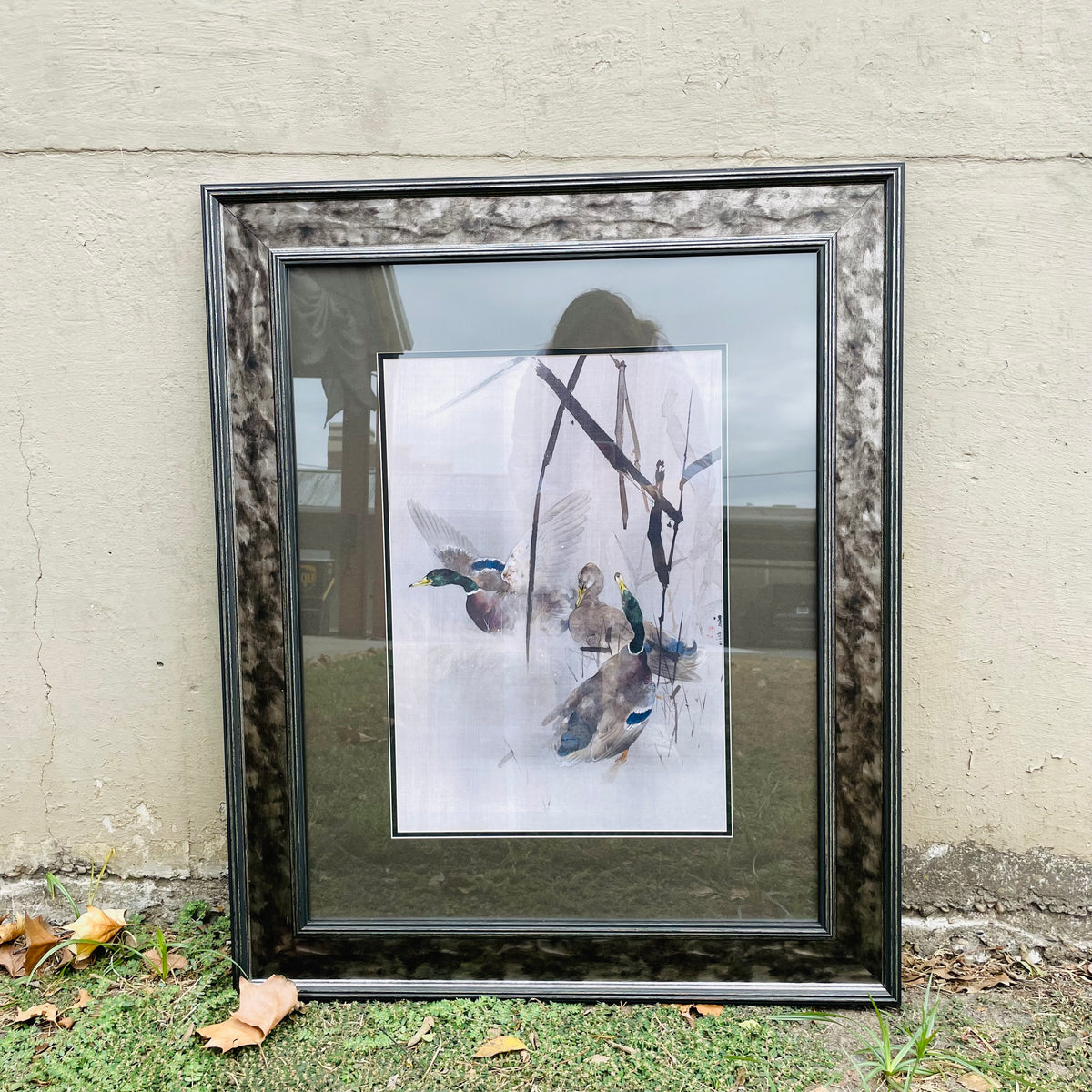 Woodland Mallards Framed Print