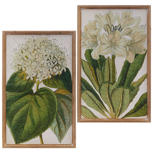 Georgian Floral Framed Print