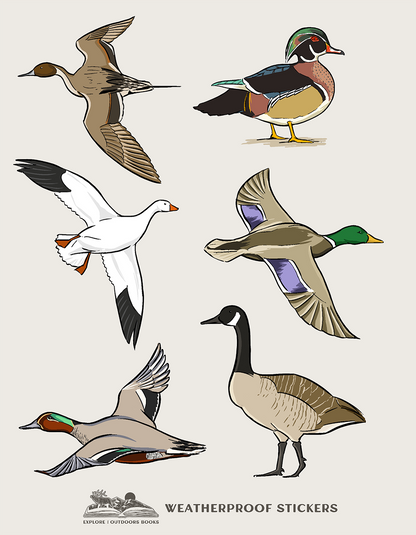 Waterfowl Weatherproof Sticker Sheet