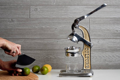 Gold Mexican Citrus Juicer