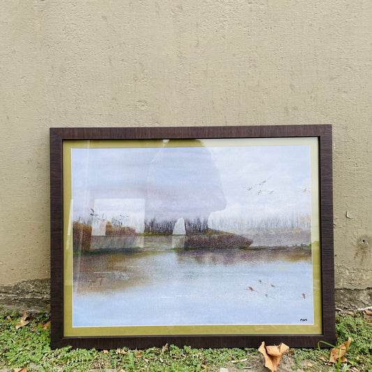 Duck Pond Framed Print