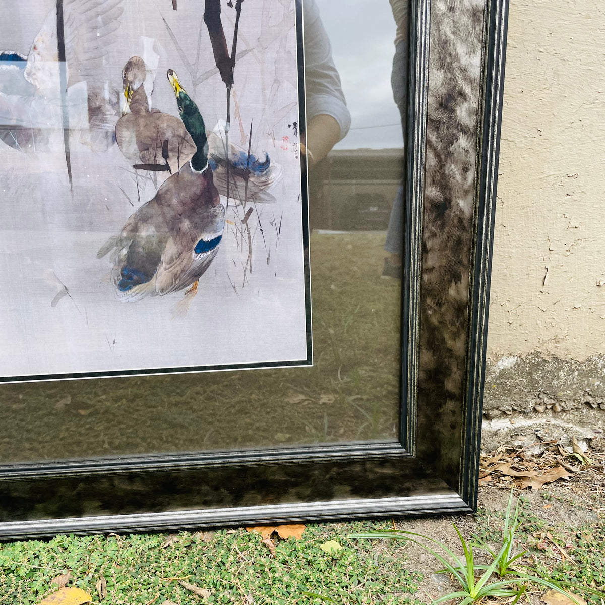 Woodland Mallards Framed Print