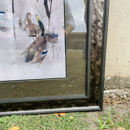 Woodland Mallards Framed Print