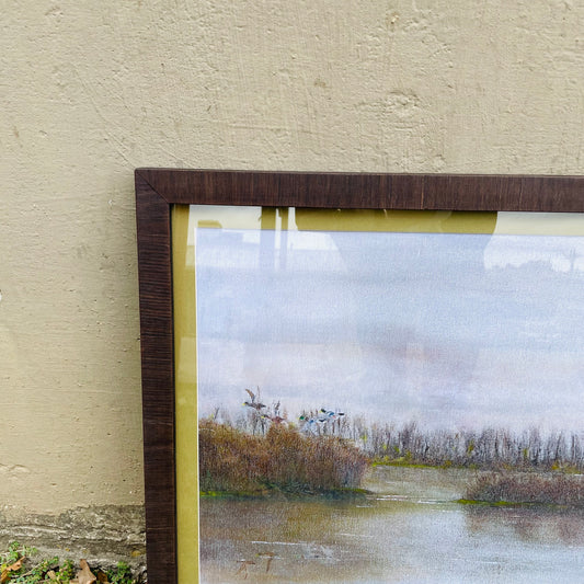Duck Pond Framed Print