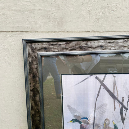 Woodland Mallards Framed Print