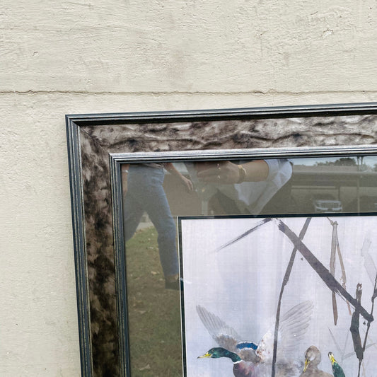 Woodland Mallards Framed Print