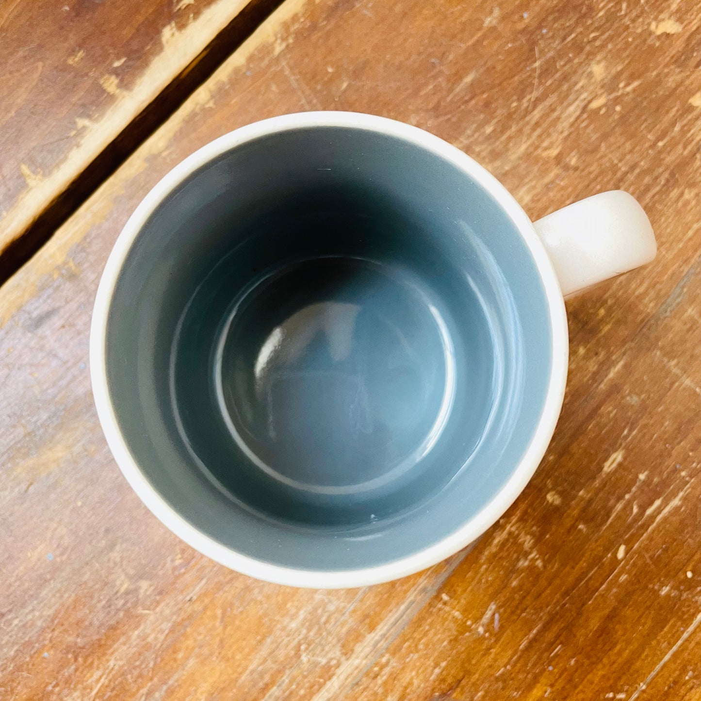 Canvasback Duck Coffee Mug- Vintage