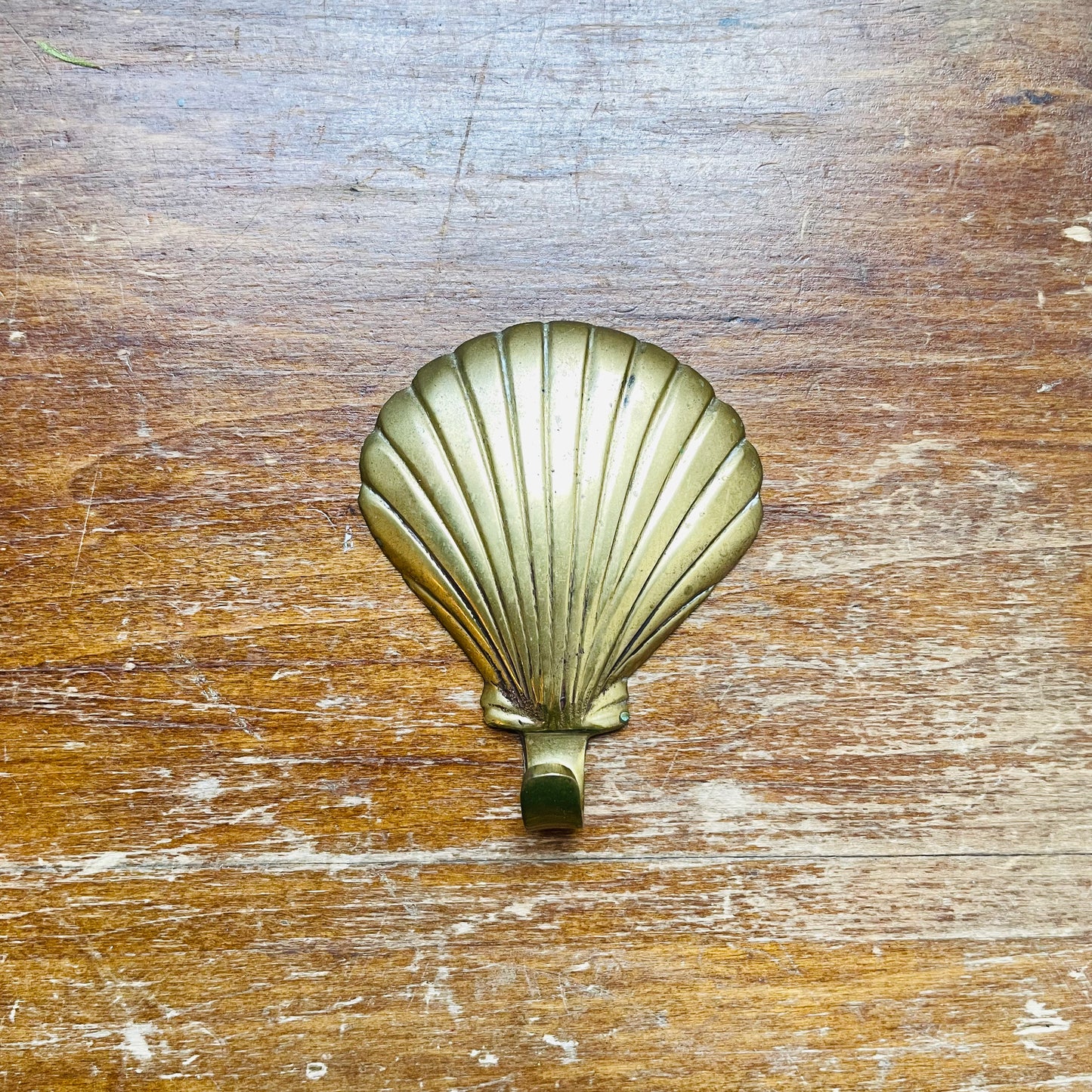 Brass Shell Wall Hook- Vintage