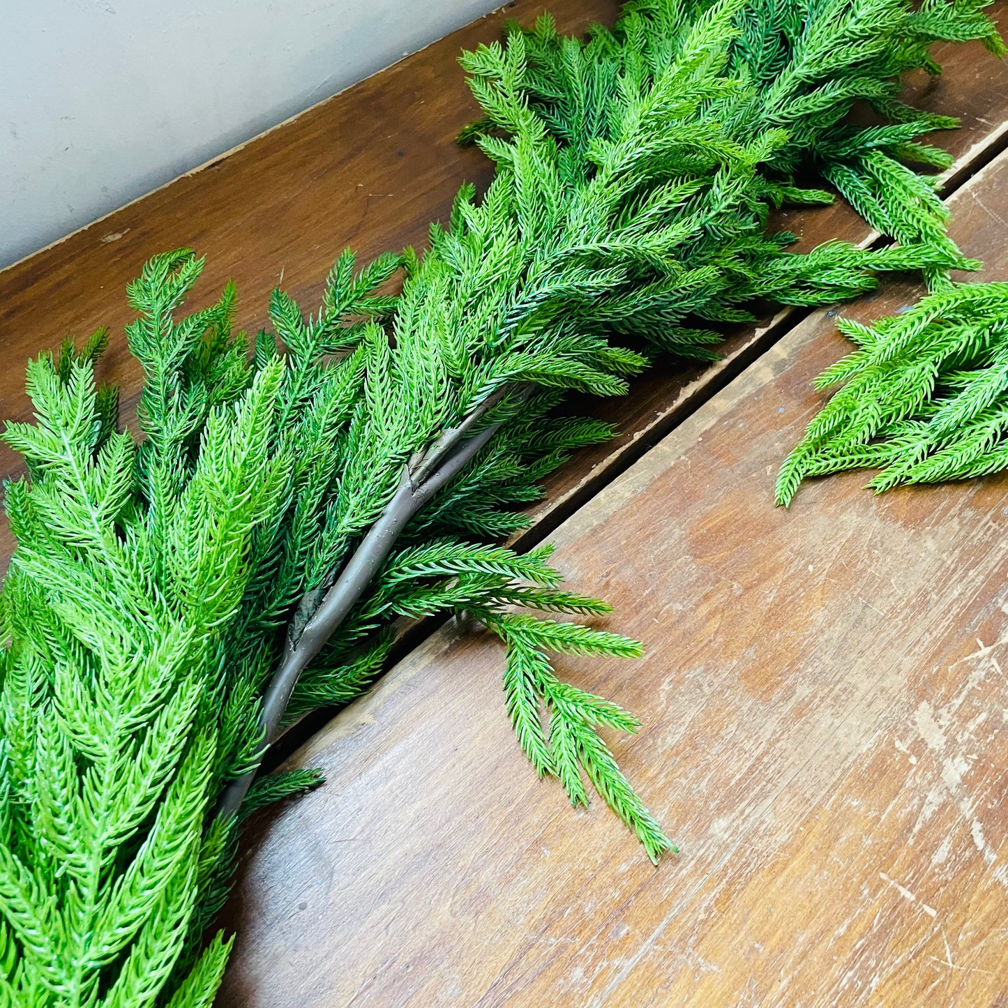 Norfolk Pine Garland