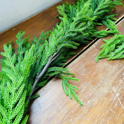 Norfolk Pine Garland
