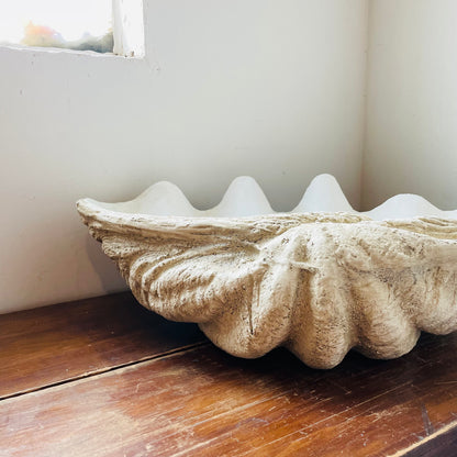 Magnesia Shell Decor