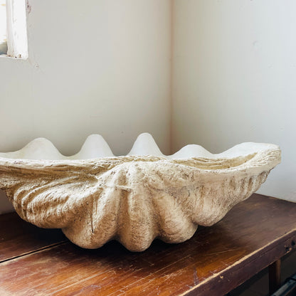 Magnesia Shell Decor