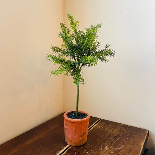 Faux Potted Rosemary Topiary