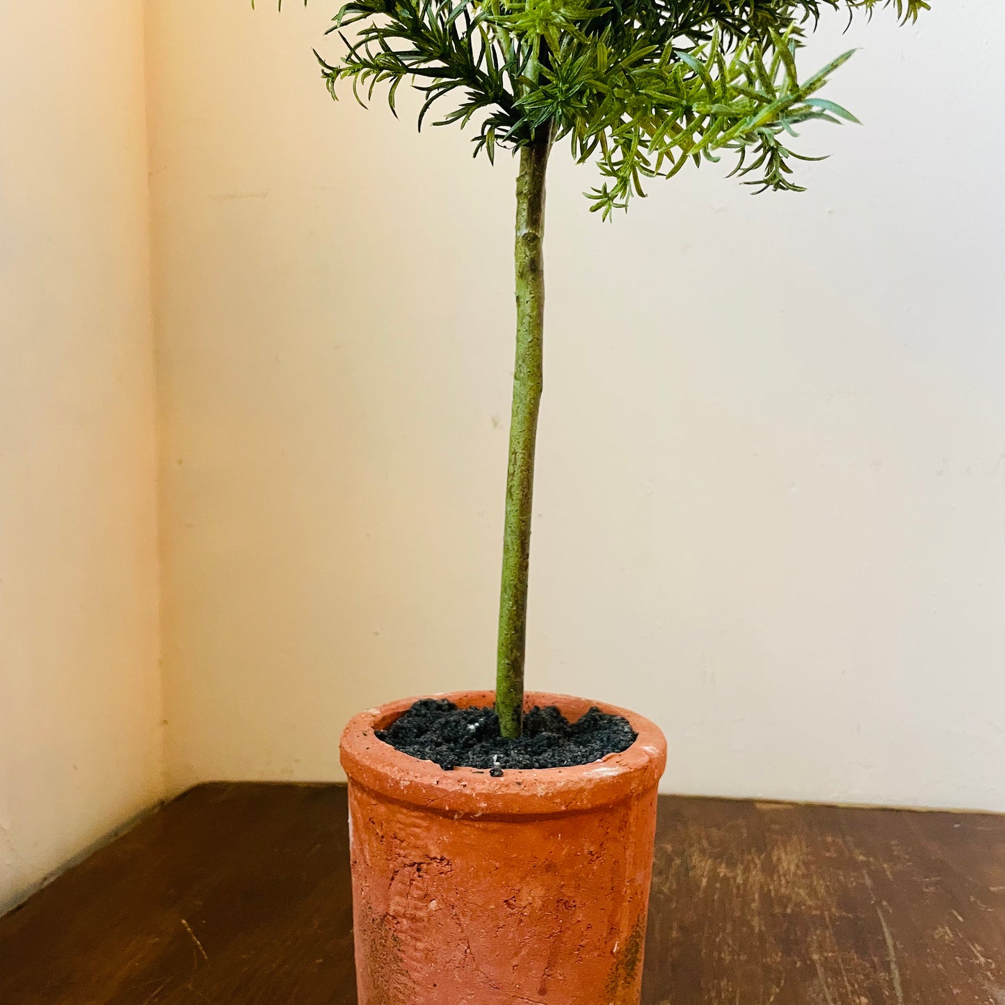 Faux Potted Rosemary Topiary