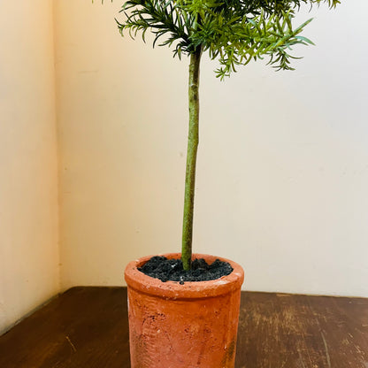 Faux Potted Rosemary Topiary