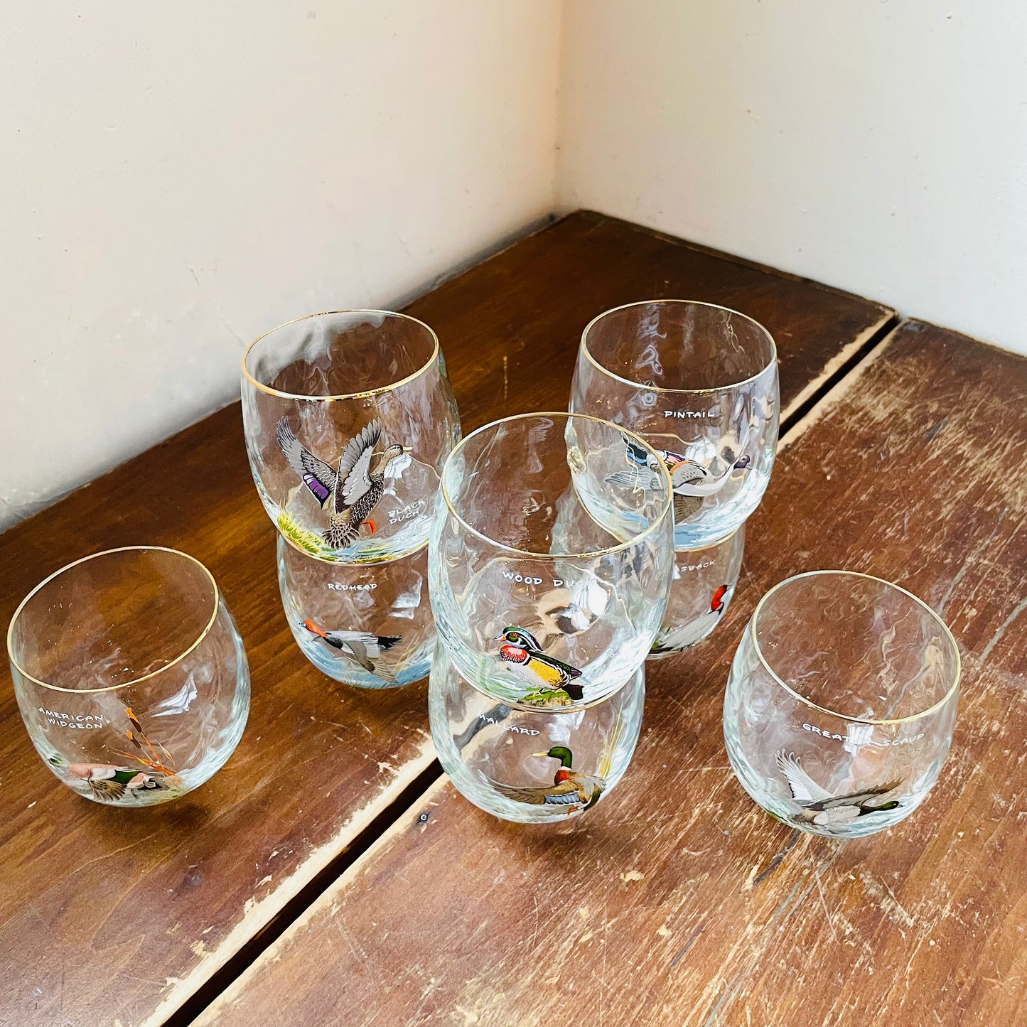 Ned Smith Waterfowl Loop Optic Roly-Poly Glasses- Vintage
