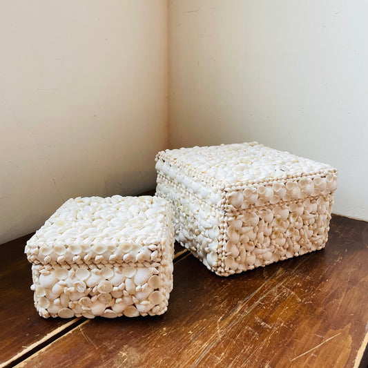 White Shell Box