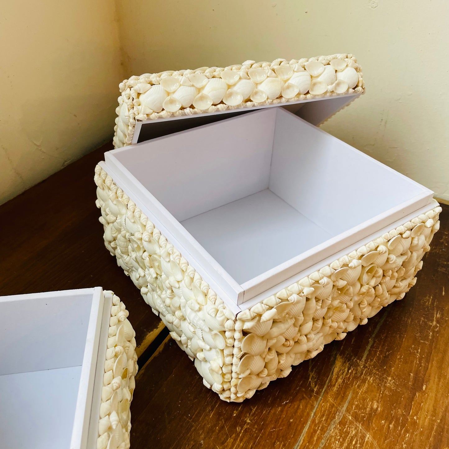 White Shell Box