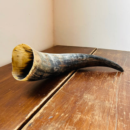 Real Bovine Horn- Vintage