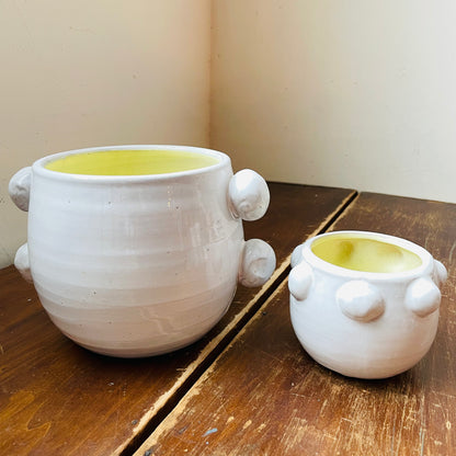 Fem Rosa Pot Set- Vintage