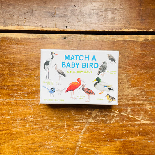 Match a Baby Bird Game
