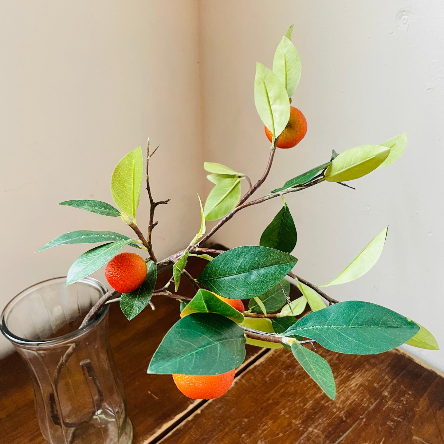 Fruiting Orange Stem