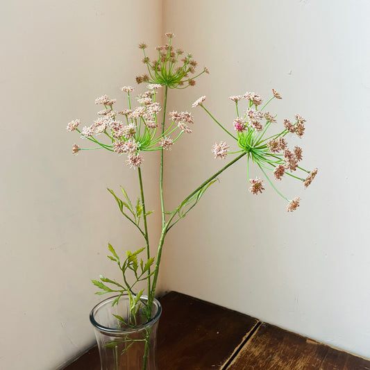 Queen Anne's Lace Pink Stem