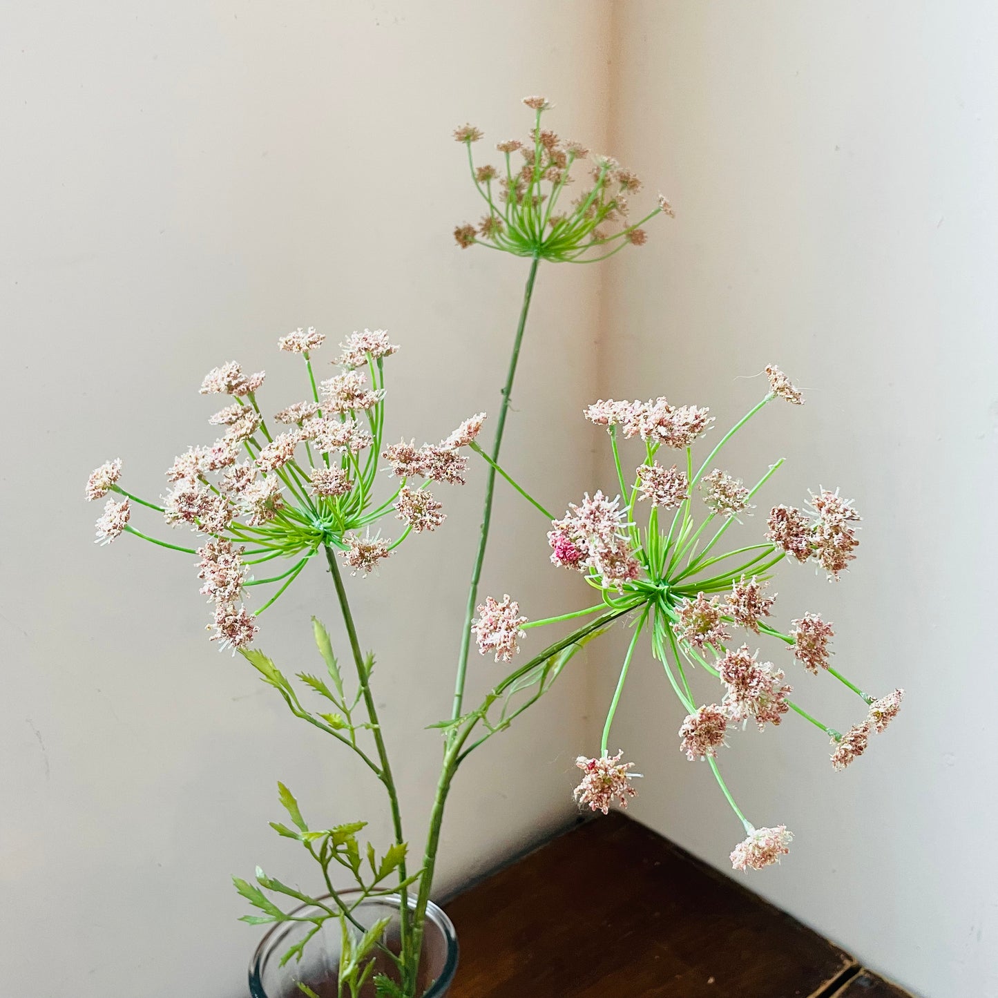 Queen Anne's Lace Pink Stem