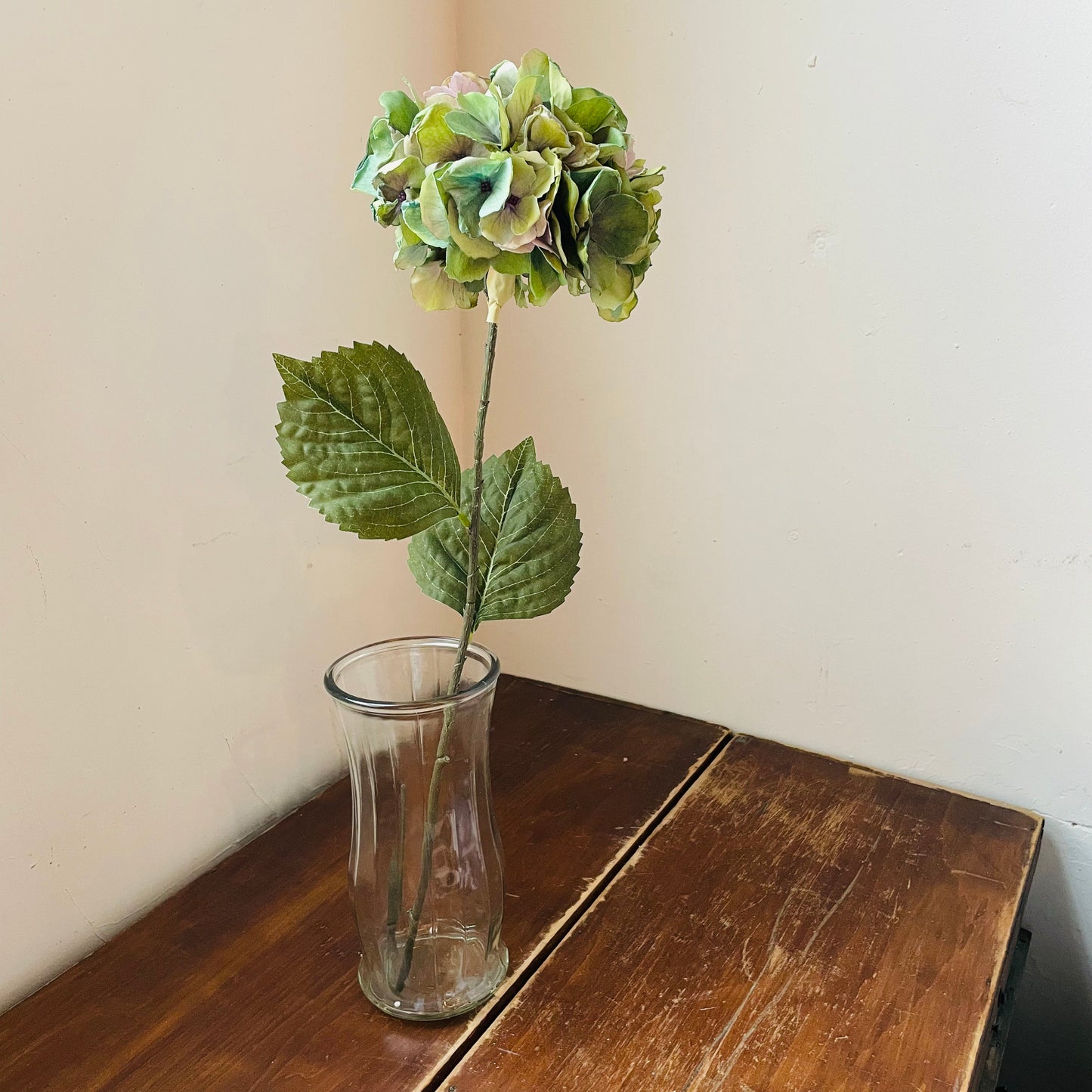 Green Hydrangea Stem