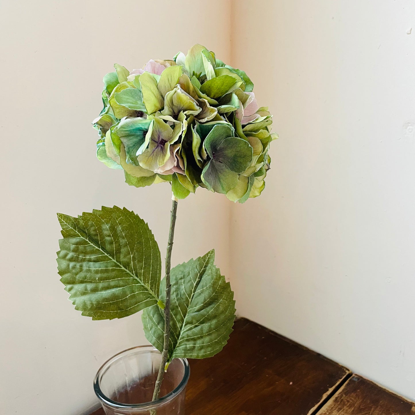 Green Hydrangea Stem