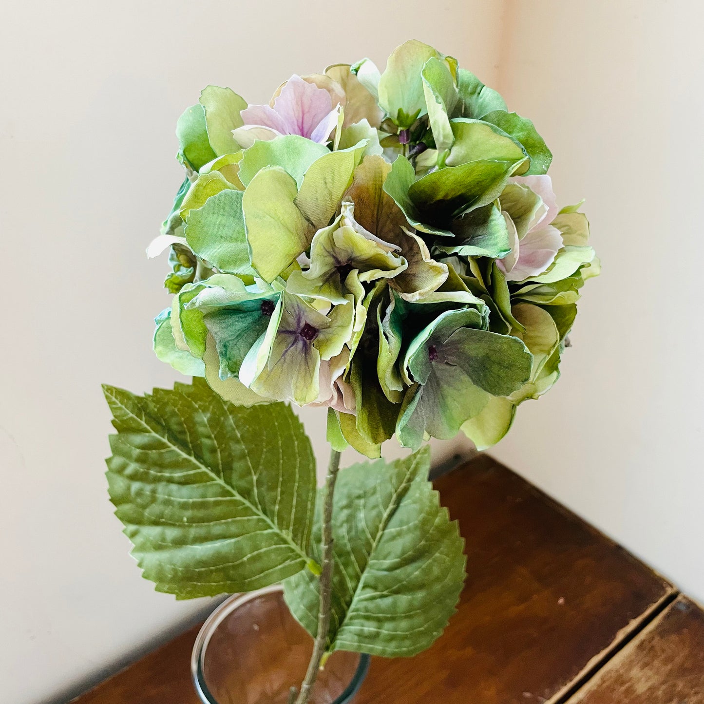 Green Hydrangea Stem