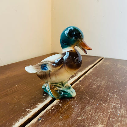 Royal Windsor Ceramic Mallard Drake- Vintage