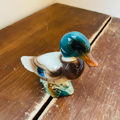 Royal Windsor Ceramic Mallard Drake- Vintage