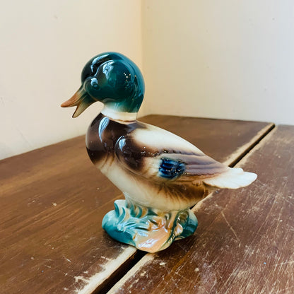 Royal Windsor Ceramic Mallard Drake- Vintage